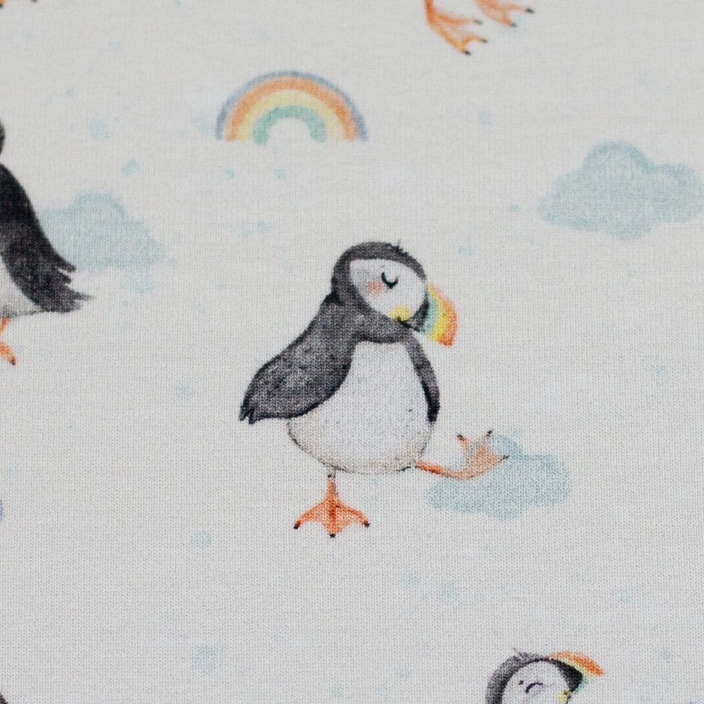 Coastal Love by Christiane Zielinski | Puffin, rainbow white