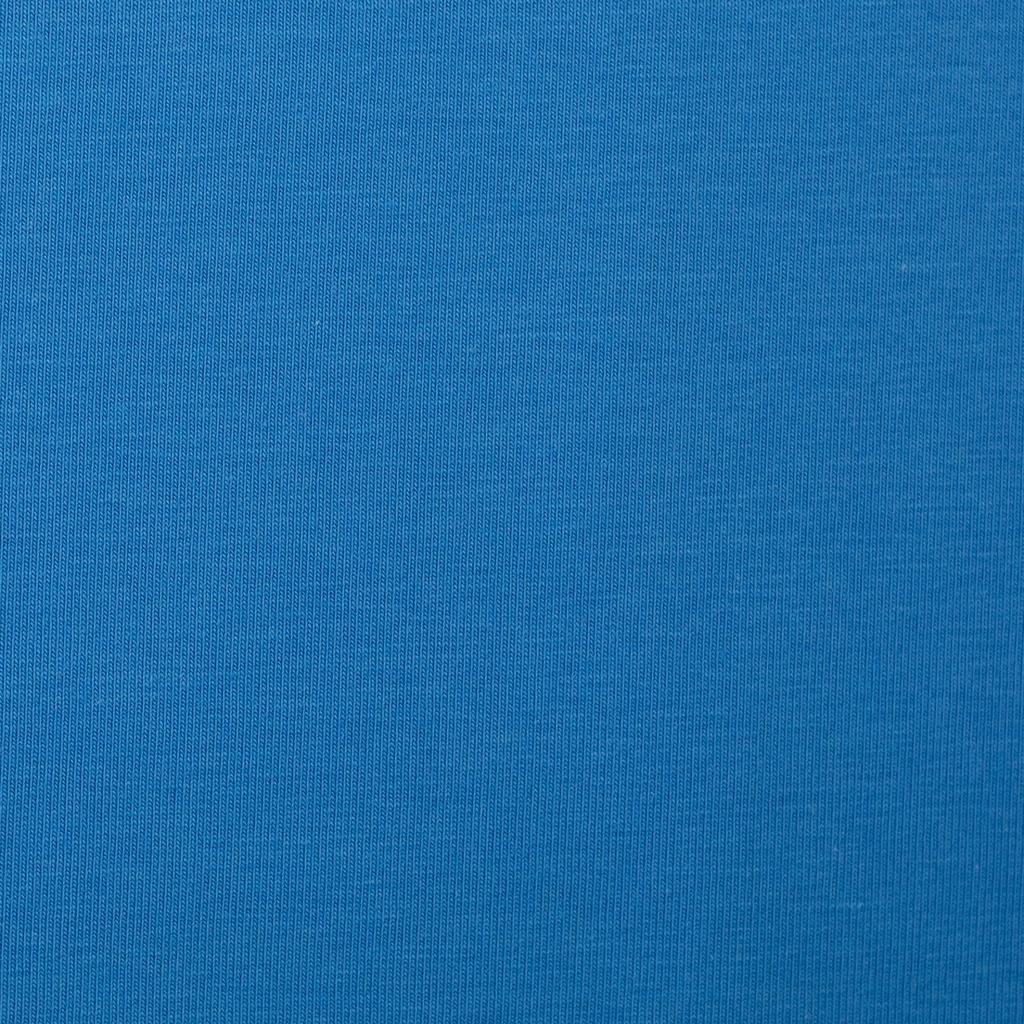 French terry | Maike by Swafing | FS 23 plain blue