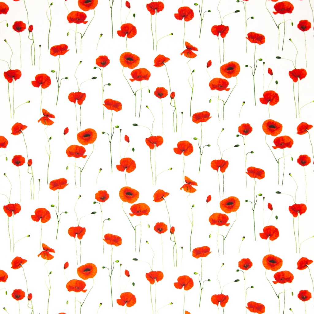 Toile | Enno par Swafing | Coquelicots