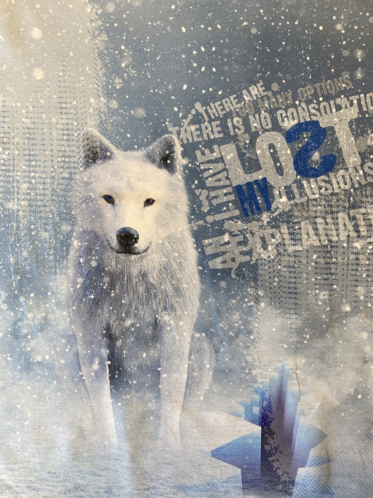 Panel French Terry | Wolves by Stenzo | blue