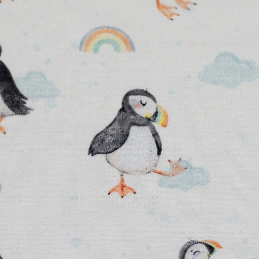 [082081-400010] Coastal Love by Christiane Zielinski | Puffin, rainbow white