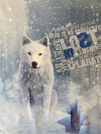 [22047 001] Panel French Terry | Wolves by Stenzo | blue